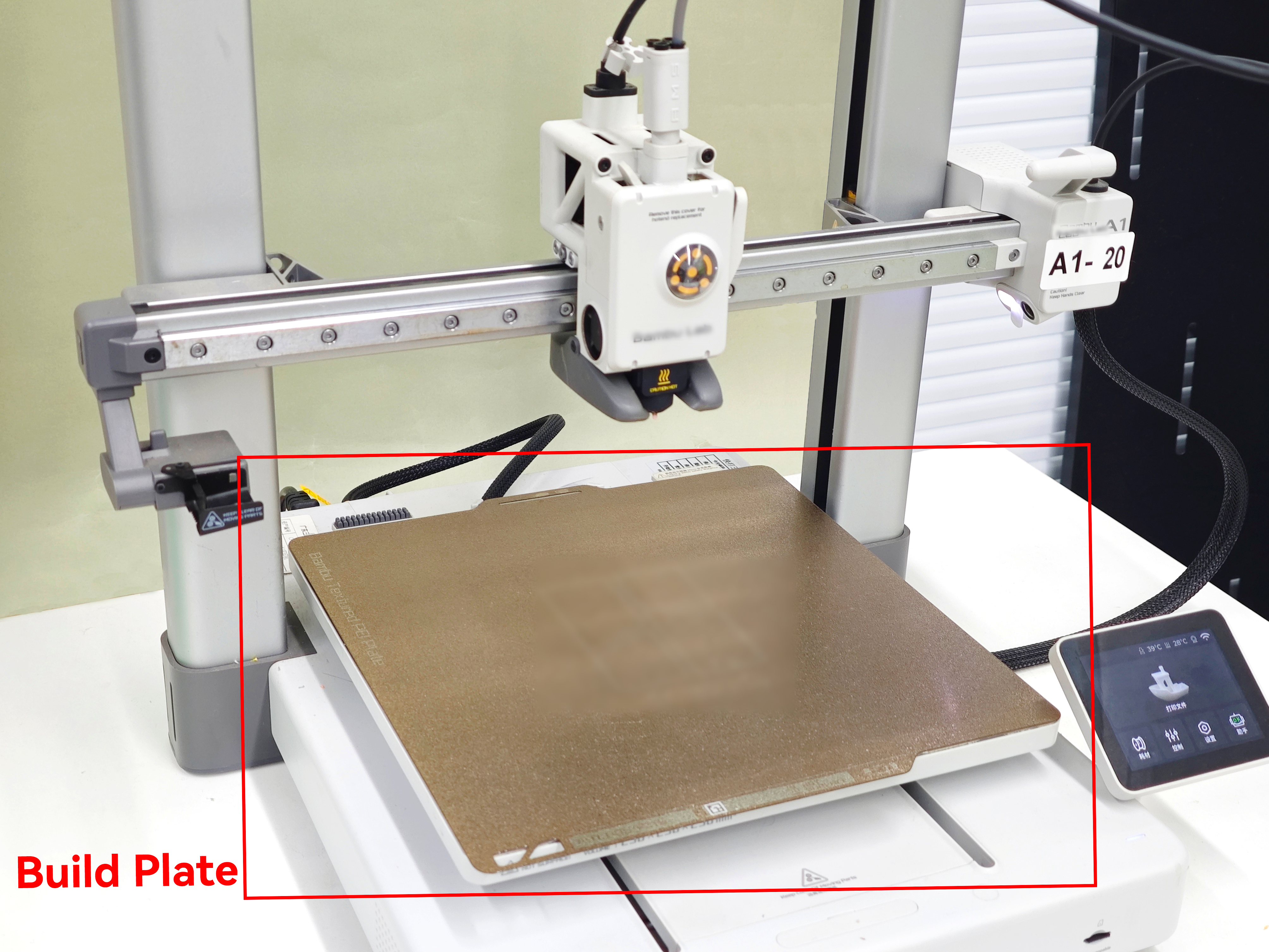Build Plate.jpg