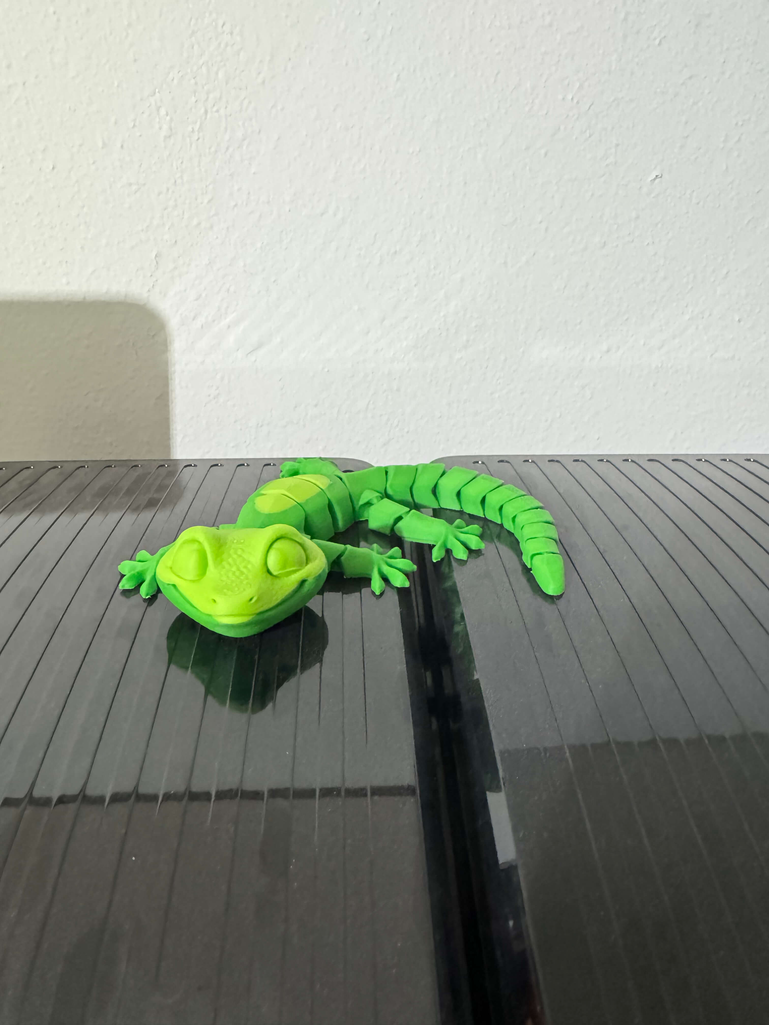 Gecko warming himself - image 1