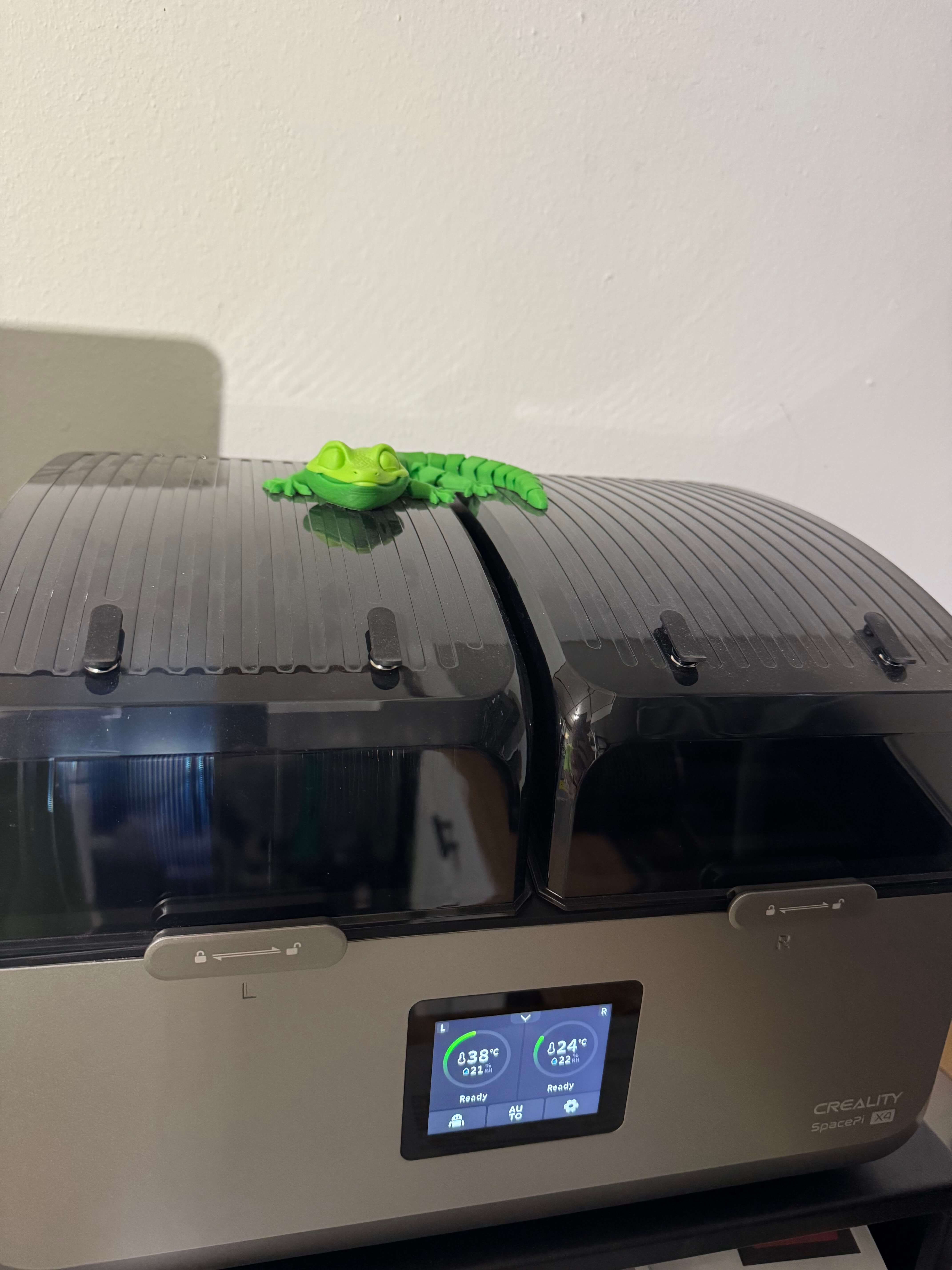 Gecko warming himself - image 3